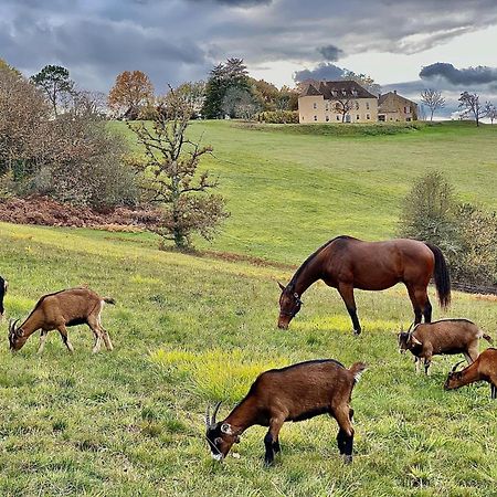 Domaine De Cazal - Chambres D'Hotes Avec Piscine Au Coeur De 26 Hectares De Nature Preservee Saint-Cyprien  Exteriér fotografie