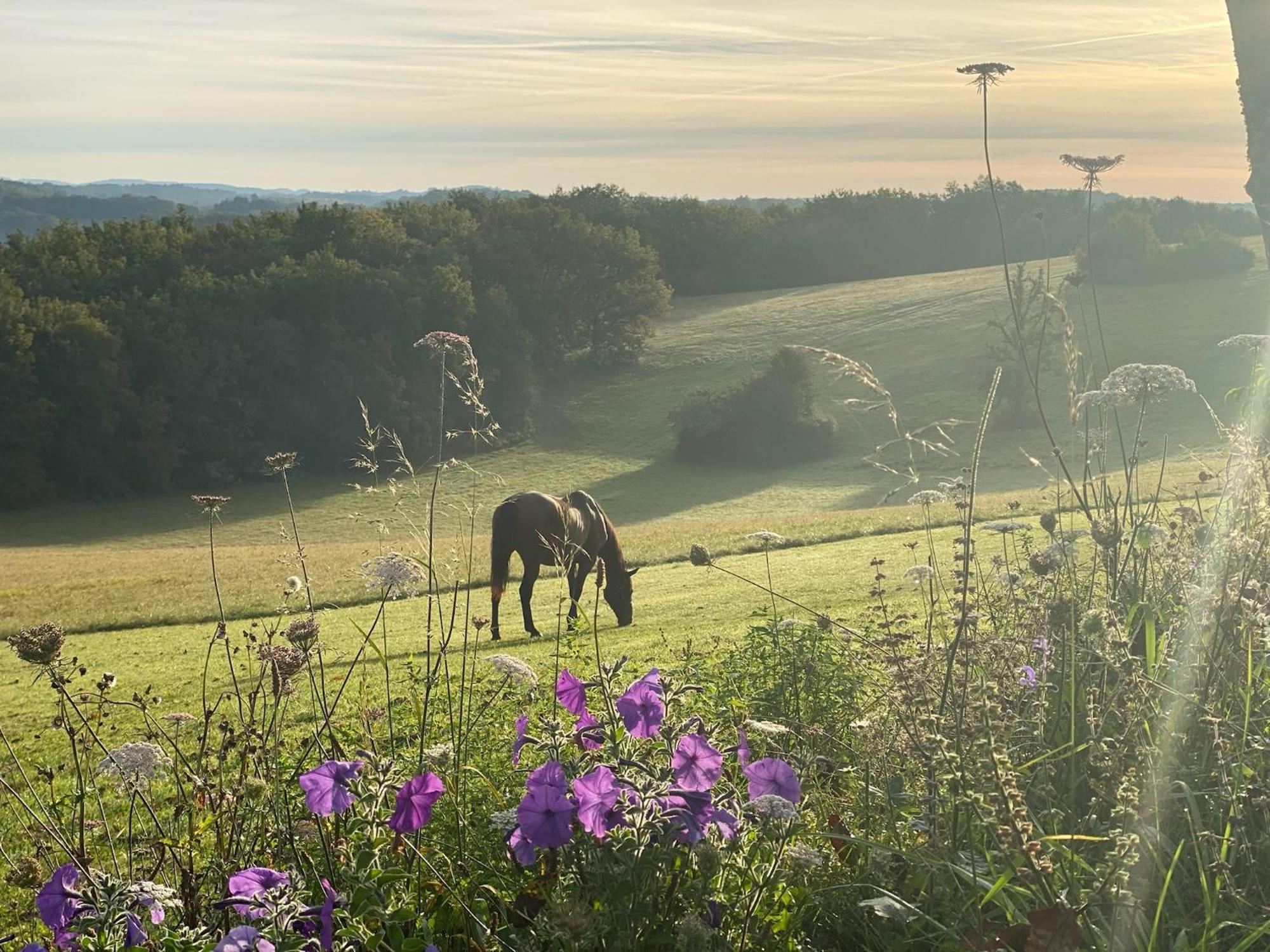 Domaine De Cazal - Chambres D'Hotes Avec Piscine Au Coeur De 26 Hectares De Nature Preservee Saint-Cyprien  Exteriér fotografie